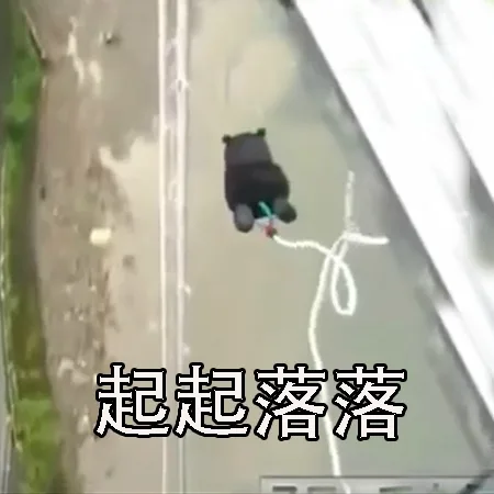 起起落落