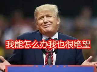 我能怎么办我也很绝望