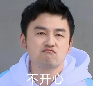雷佳音表情包系列表情包