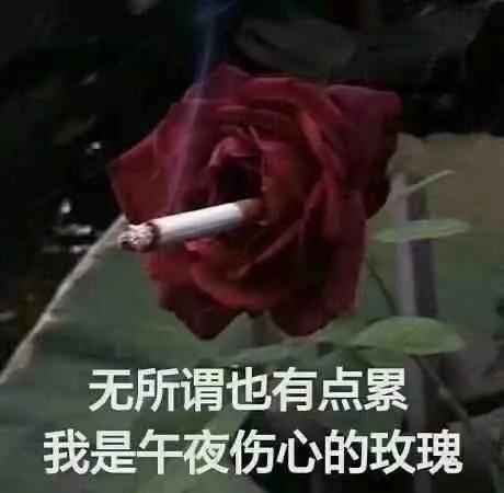 无所谓也有点累我是午夜伤心的玫瑰（无所谓也有点累我是午夜伤心的玫瑰）