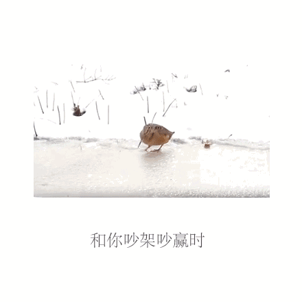 和你吵架吵赢时
