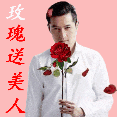 玫瑰送美人（中老年表情包）（玫瑰送美人（中老年表情包））