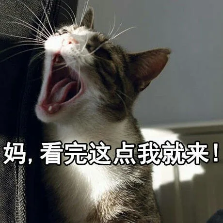 妈，看完这点我就来！（妈，看完这点我就来！）