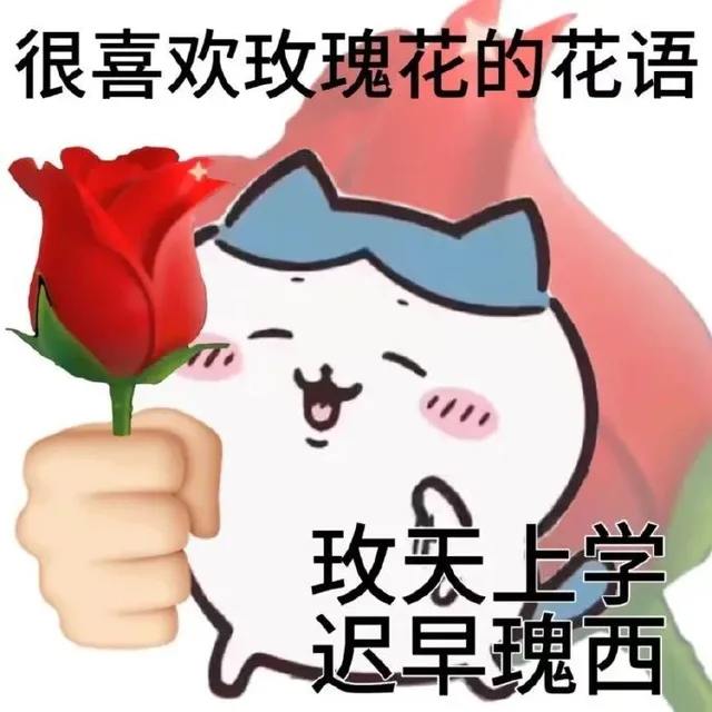 很喜欢玫瑰花的花语玫上学迟旱瑰西（很喜欢玫瑰花的花语玫上学迟旱瑰西）