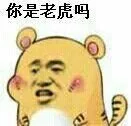 你是老虎吗（张学友）（你是老虎吗（张学友））