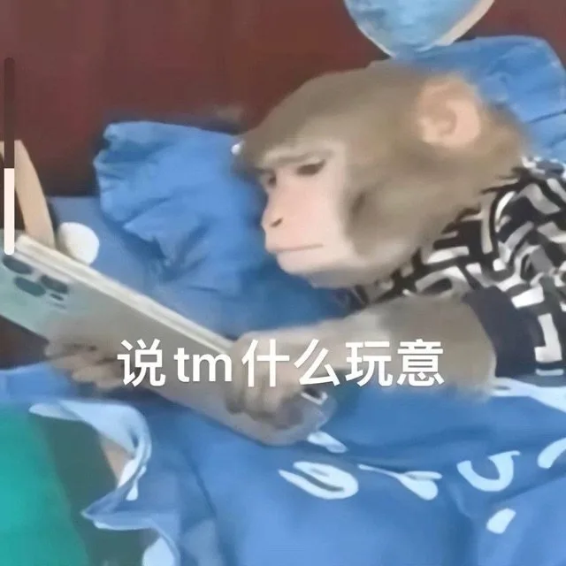 说tm什么玩意（说tm什么玩意）