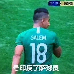 27:29俄罗斯SALEM18号印反了萨球员