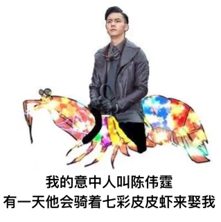 我的意中人，有一天他会骑着七彩皮皮虾_皮皮虾_装逼