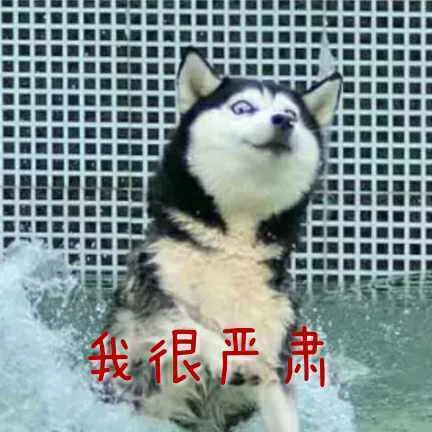 我很严肃（我很严肃）