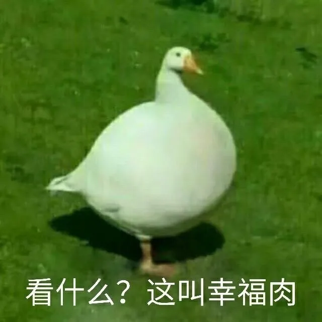 看什么？这叫幸福肉