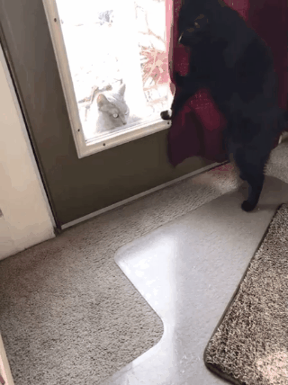 你走吧 我妈不让我跟傻子玩_动图_gif_萌萌哒表情包