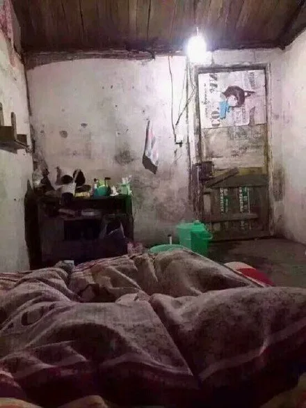 阴冷潮湿的房子（阴冷潮湿的房子）
