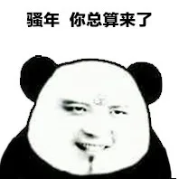 骚年 你总算来了