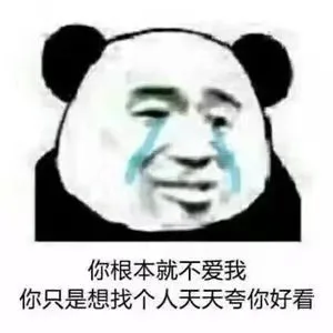 你根本就不爱我你只是想找个人天天夸你好看（你根本就不爱我你只是想找个人天天夸你好看）