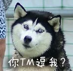 你TM逗我？（你TM逗我？）