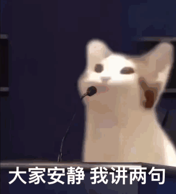 大家安静 我讲几句（POPO猫表情包）（大家安静 我讲几句（POPO猫表情包））