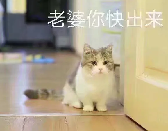 老婆你快出来