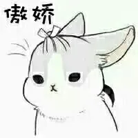 傲娇的兔子（傲娇的兔子）