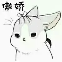 傲娇的兔子