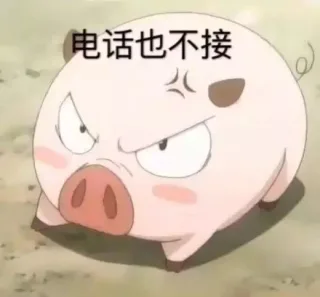电话也不接