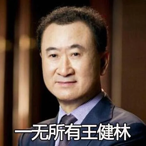 一无所有王健林（一无所有王健林）
