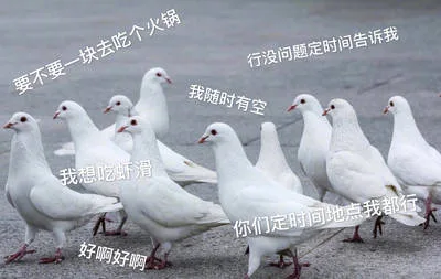 要不要一块去吃个火锅行没问题定时间告诉我我随时有空我想1虾滑你们定时间地点我都行好啊好啊