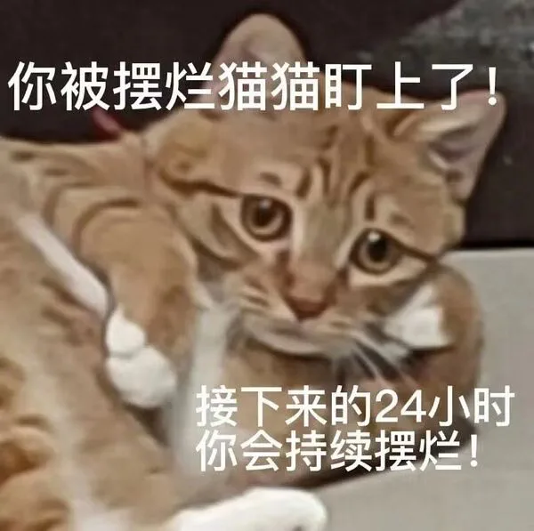 你被摆烂猫猫盯上了！接下来的24小时你会持续摆烂！（你被摆烂猫猫盯上了！接下来的24小时你会持续摆烂！）
