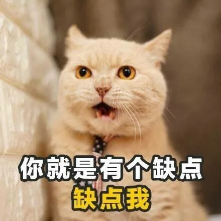 你就是有个缺点缺点我（你就是有个缺点缺点我）