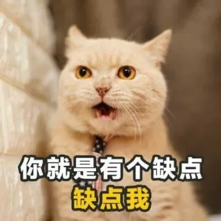 你就是有个缺点缺点我