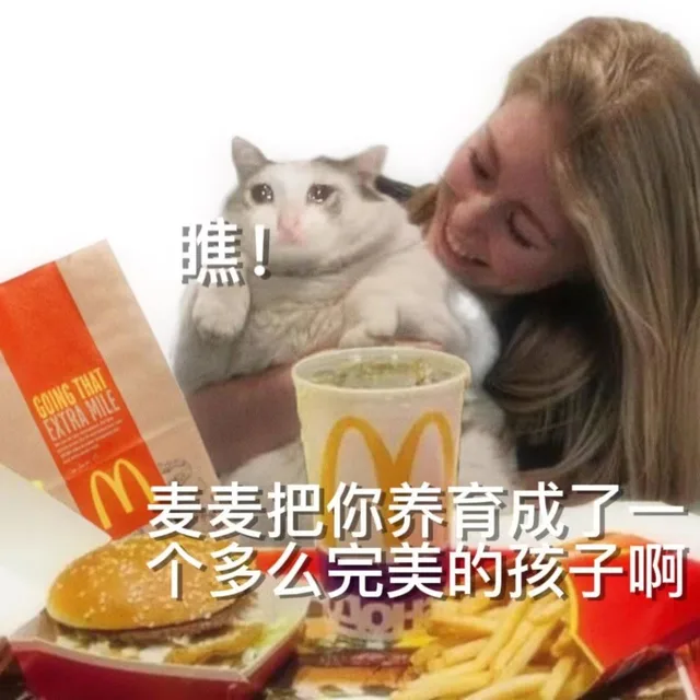 瞧！STHATGOINGEXTRA MILE麦麦把你养育成了一个多么完美的孩子啊（瞧！STHATGOINGEXTRA MILE麦麦把你养育成了一个多么完美的孩子啊）