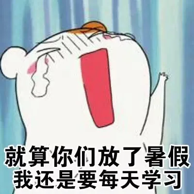 就算你们放了暑假，我还是要每天学习