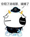 你犯了流氓罪，被捕了（你犯了流氓罪，被捕了）