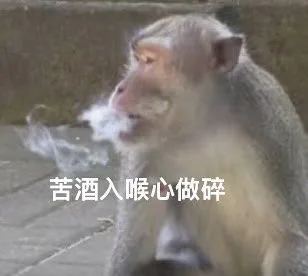 苦酒入喉心做碎(吗喽表情包)（苦酒入喉心做碎(吗喽表情包)）