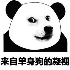 来自单身狗的凝视