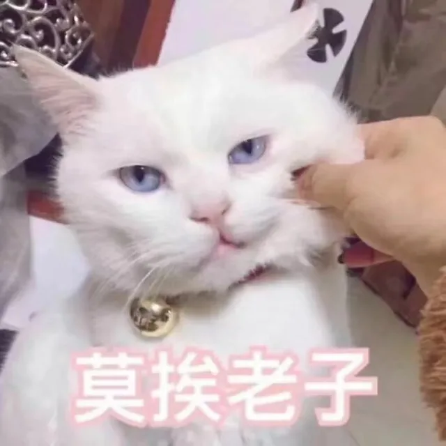 莫挨老子（莫挨老子）