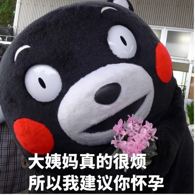 大姨妈真的很烦，所以我建议怀孕
