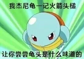 我杰尼龟一记火箭头缒，让你尝尝龟头是什么味道的