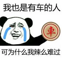 我也是有车的人 可为什么我辣么难过