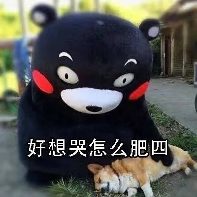 熊本熊：这到底是怎么肥四！？_熊本熊_怎么肥四_卡通表情包