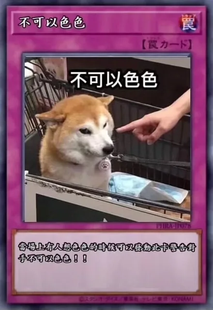 狗狗卡牌表情包_卡牌