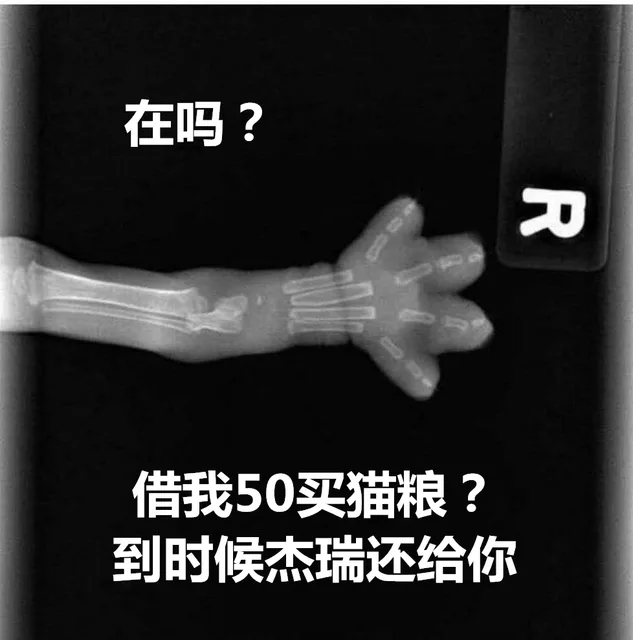 在吗借我50买猫粮到时候杰瑞还给你（在吗借我50买猫粮到时候杰瑞还给你）