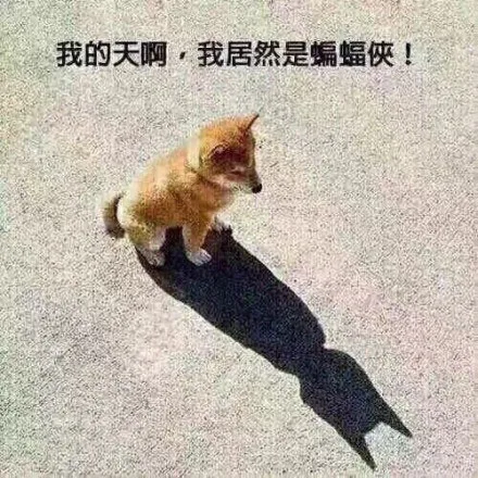 我的天啊，我居然是蝙蝠侠！