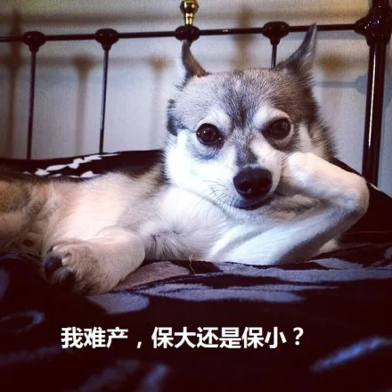 我难道，保大还是保小？（我难道，保大还是保小？）