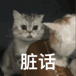 脏话（脏话）