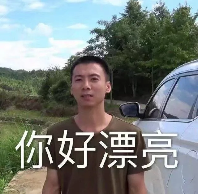 你好漂亮（你好漂亮）