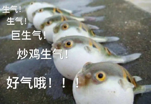 生气！巨生气！炒鸡生气！好气哦！！！