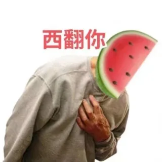 西翻你
