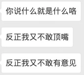 你说什么就是什么咯反正我又不敢顶嘴反正我又不敢有意见（你说什么就是什么咯反正我又不敢顶嘴反正我又不敢有意见）
