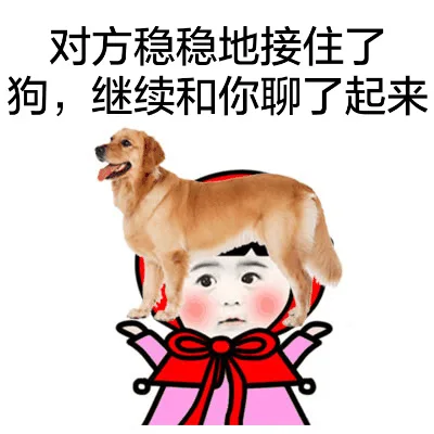 对方稳稳地接住了狗，继续和你聊了起来