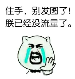 住手，别发图了，朕已经没流量了